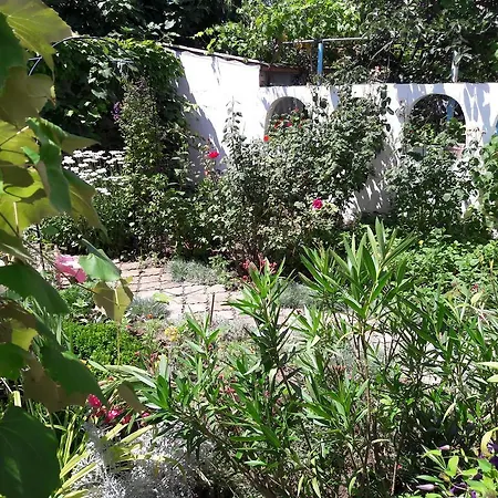 Guest house Guest House Vedrina