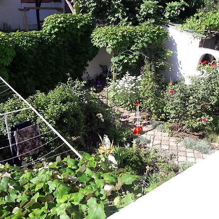 Guest house Guest House Vedrina 3*
